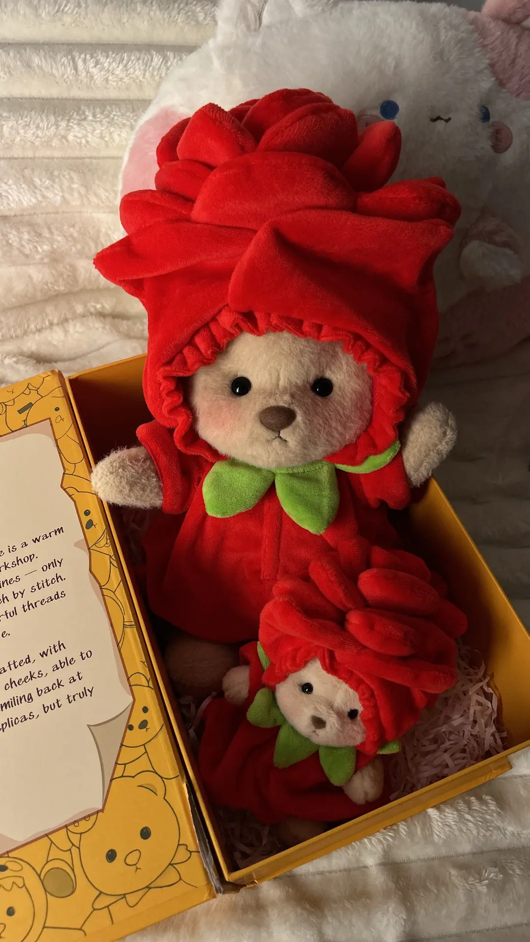 Adorable Red Rose teddy bear in a beautiful gift box